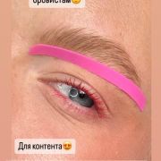 Держатели цветные Бровиста , Набор 3 пары (6 штук)